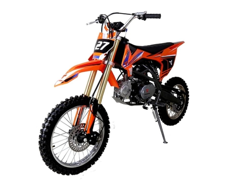 Trailmaster TM38 300cc 31HP Dirt Bike Pioneer Powersports